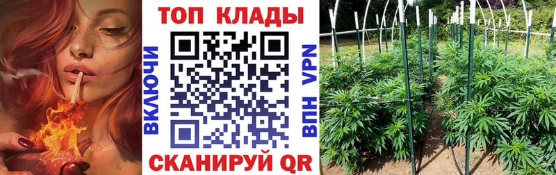 Купить закладку COCAIN  МЕФ  Альфа ПВП  Канабис  ГАШ  Яхрома