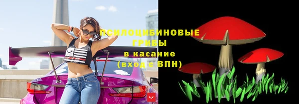 гашишное масло Заводоуковск