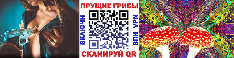 Галлюциногенные грибы GOLDEN TEACHER Яхрома