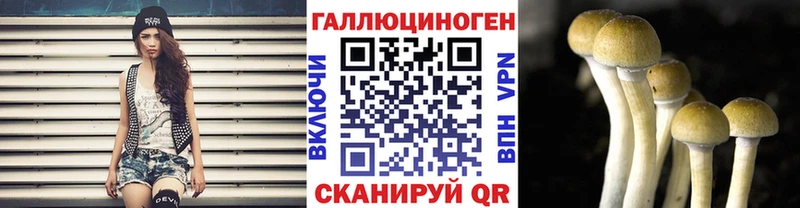 Галлюциногенные грибы Psilocybe  Купить закладки  Яхрома 