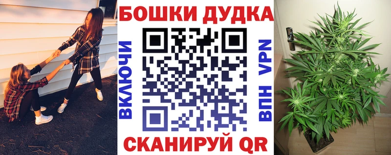 Купить где  Яхрома  Канабис семена 